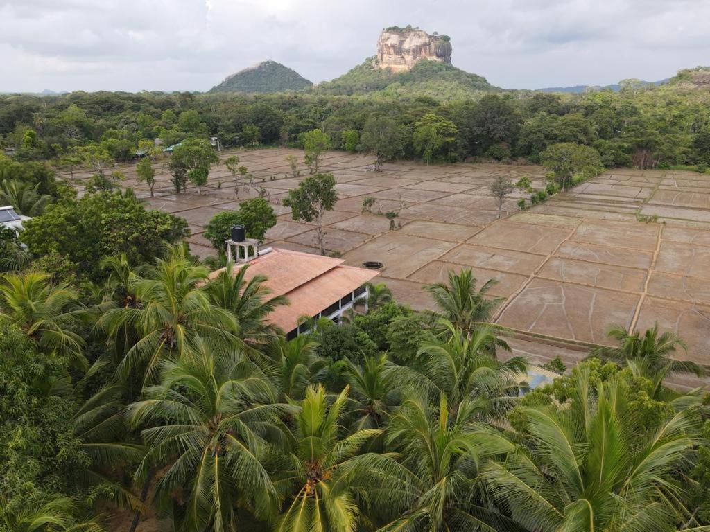 Castle View Sigiriya Hotel Buitenkant foto